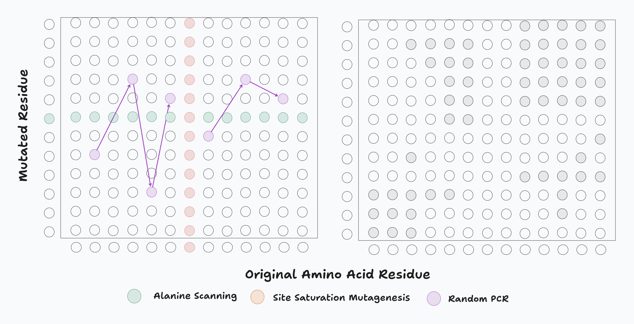 Mutagenesis Schemes